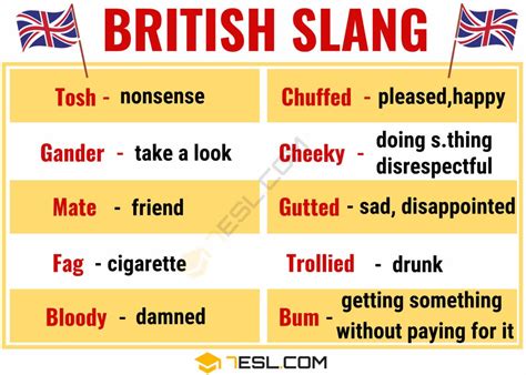 pikey british slang.